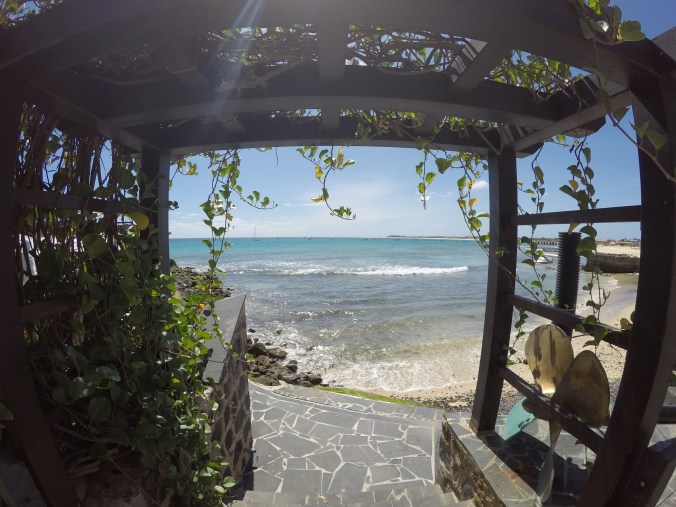 DCIM100GOPROGOPR0307.